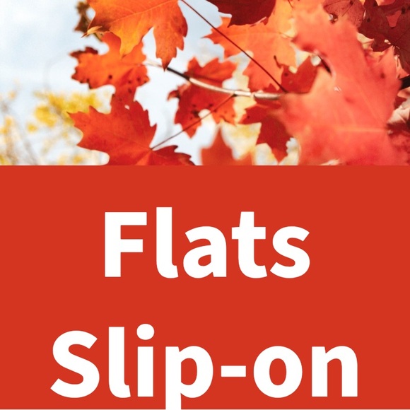 FLATS AND SLIP ONS - Picture 3 of 4